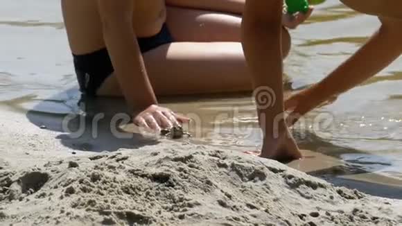 两个小男孩在海滩上的河岸上玩一只蟾蜍慢动作视频的预览图