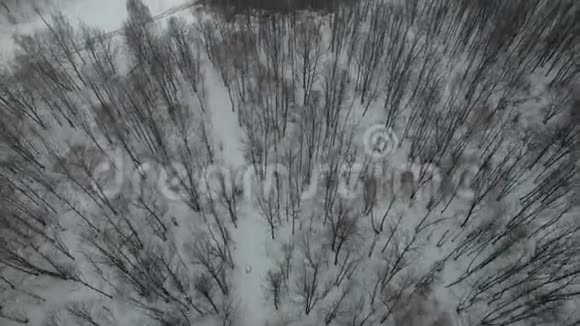 在冬季森林中用钻机打油气田打深井位于亚马尔坦德拉的Kamchatka油田视频的预览图