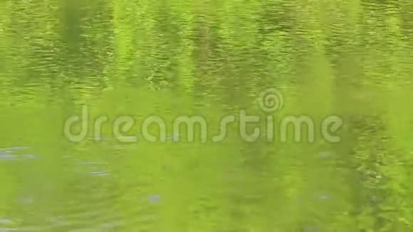 水面上的涟漪水面上的绿色倒影和圆圈视频的预览图