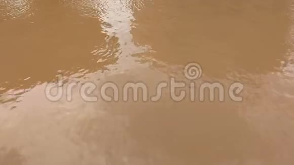 运河里不透明的水视频的预览图