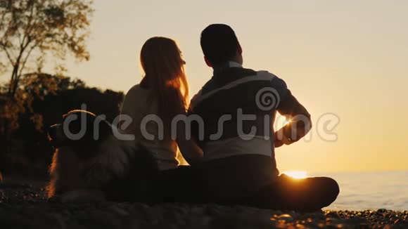 浪漫的夫妇在日落时正在海滩上休息坐在他们旁边靠近他们的是他们的狗视频的预览图