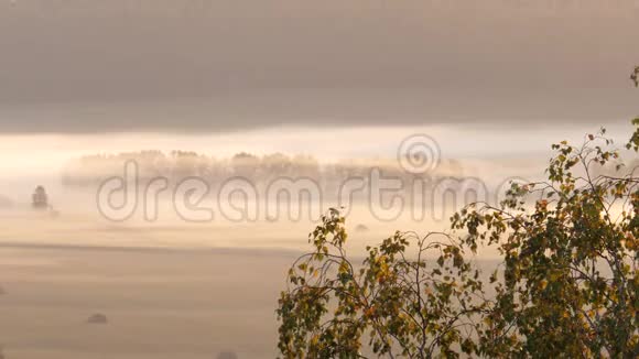静态视图雾状日出山地森林田野视频的预览图