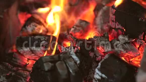 在壁炉里燃烧中型火焰壁炉的回环夹视频的预览图