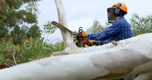伐木工人在森林中砍树枝4k视频的预览图