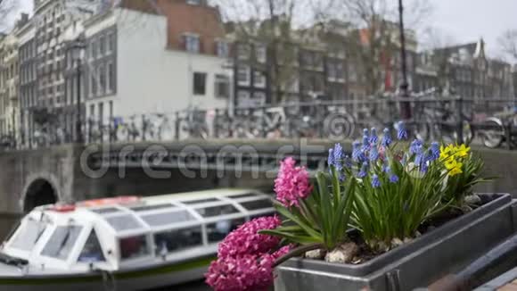 阿姆斯特丹街装饰的低矮视频的预览图