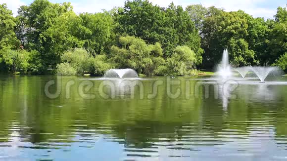 池塘里的喷泉视频的预览图