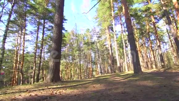 在阳光明媚的森林中奔跑的女孩视频的预览图