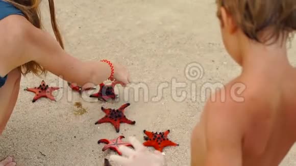 慢镜头女人和她的儿子在海滩上和红星鱼视频的预览图