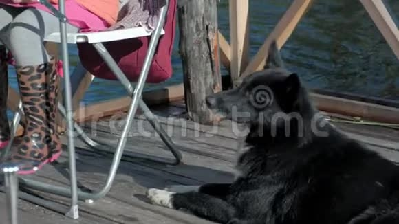 一个穿暖和衣服的小女孩吃煎饼喝茶一只狗在附近玩耍在河边的木头上野餐视频的预览图