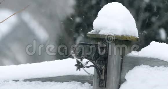 一场残酷的冬季雪的B卷式镜头视频的预览图