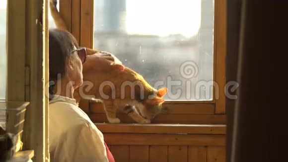老妇人喂猫视频的预览图