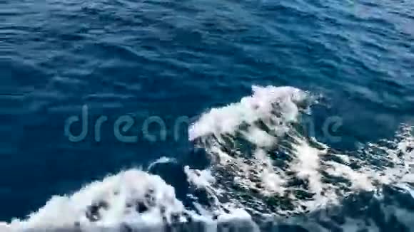 蓝色的海洋视频的预览图