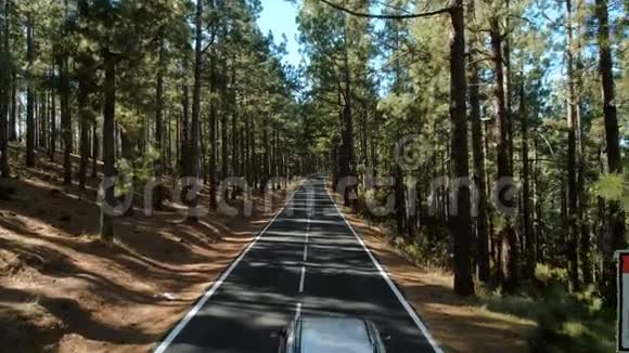 无人机驾驶夏季日落林路视频的预览图