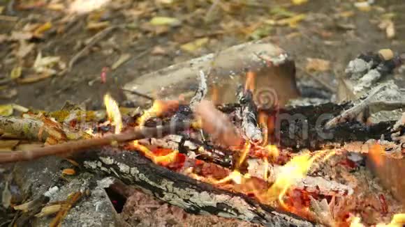 香肠在露天的火堆上旋转旅游和户外游憩的概念幸福家庭视频的预览图