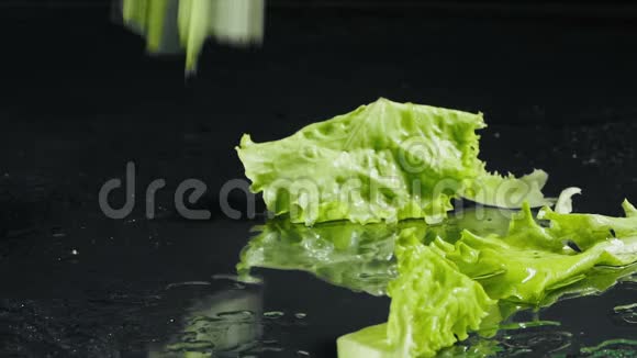 沙拉的湿绿叶掉下来的视频视频的预览图