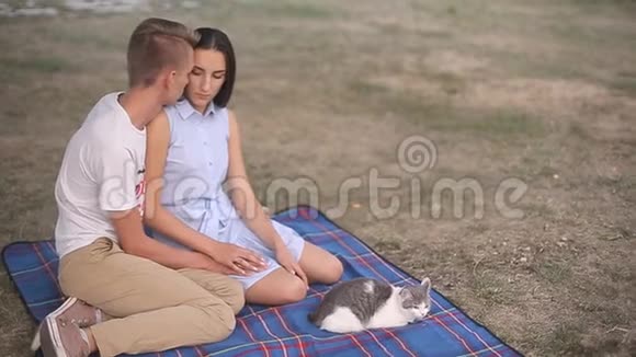 一对相爱的情侣在野餐上休息那家伙和那个女孩坐在蓝色的引线上抚摸着他的白猫视频的预览图