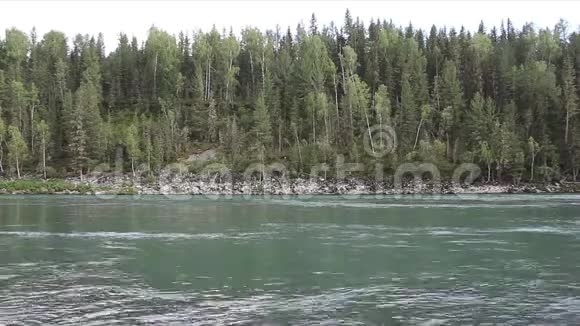 俄罗斯阿尔泰的卡顿河夏季流淌视频的预览图