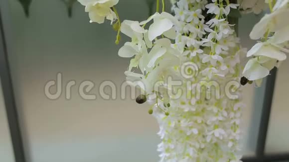 婚礼装饰中白色兰花的特写白色花朵的婚礼拱门视频的预览图