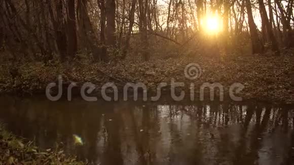 夕阳的余晖中秋天森林中的宁静小溪视频的预览图