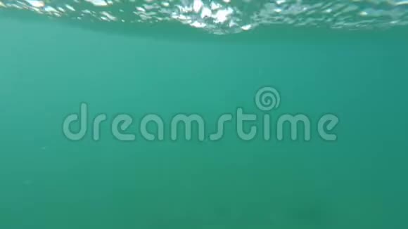 年轻人在海水中游泳时的水下视角视频的预览图