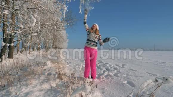 在阳光明媚的冬天里嬉戏的年轻女子拔树枝和落雪视频的预览图