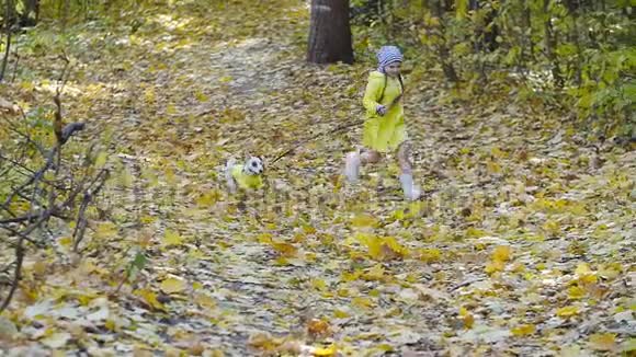宠物家庭和友谊的概念秋天公园里有只狗跑的小女孩视频的预览图