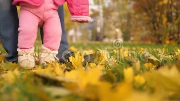 父亲教小女儿在公园里走黄秋枫叶上路视频的预览图