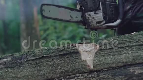 用电锯锯树的特写镜头慢慢地视频的预览图