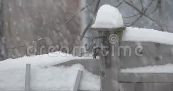 一场残酷的冬雪的B卷镜头视频的预览图