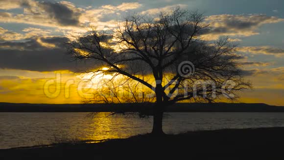 湖边无叶子的孤树剪影日落时的云飞过湖秋天的风景视频的预览图