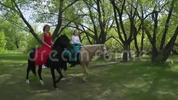 在树林里骑马散步的女孩视频的预览图