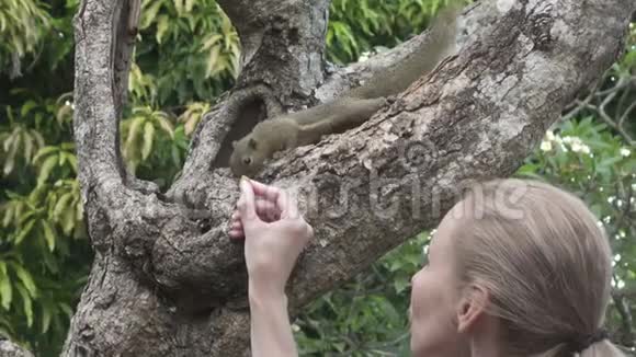 这位年轻女子用坚果喂养普通的树木在热带花园里视频的预览图