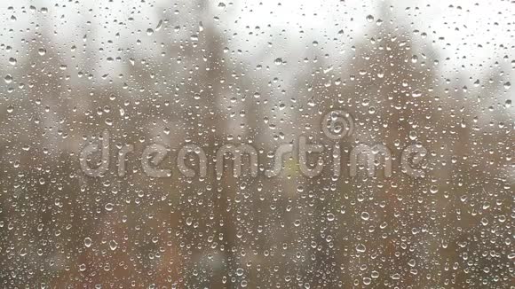 一滴融化的雪在玻璃窗上看起来像雨模糊的树木在风中移动在背景上的过度视频的预览图