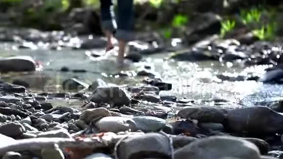 人在小溪里散步周围有小草和蕨类植物视频的预览图