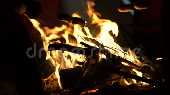 人们在森林的篝火上烧香肠冒着野火的危险行动迟缓视频的预览图