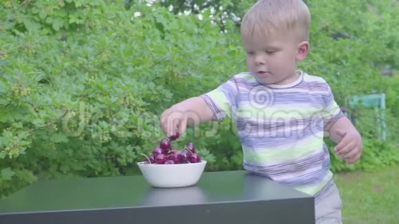 小男孩在花园里吃樱桃桌子上盘子里的樱桃视频的预览图