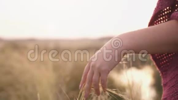 日落时年轻女子手牵着手穿过荒野的草地女手摸野花特写夏季视频的预览图