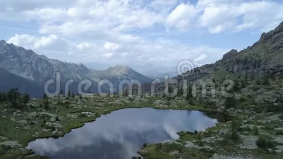 在傍晚的夏日在清澈的蓝色湖泊和松树林之上前进欧洲意大利阿尔卑斯山山谷奥斯塔户外绿色视频的预览图