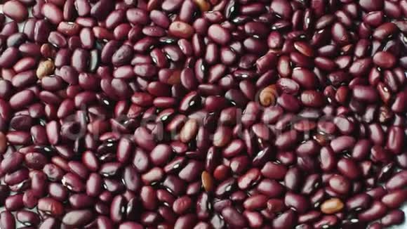 红豆健康蛋白食品视频的预览图