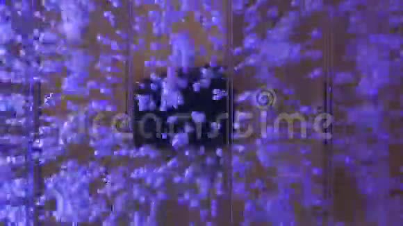 装饰水族馆里清澈的水中冒出的气泡视频的预览图