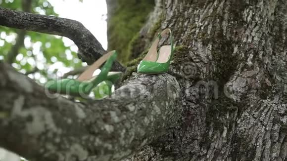 新娘婚礼漂亮的鞋子绿色的鞋子在树上的鞋子豪华的高跟特写镜头视频的预览图