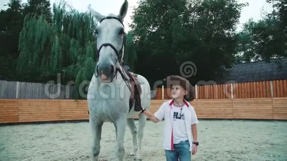 快乐的小男孩在训练区抚摸他友好的白马4K视频的预览图