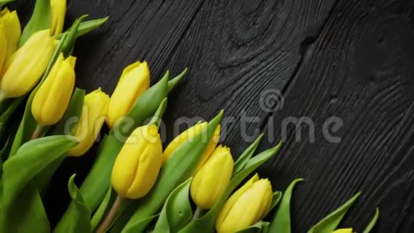 黑色乡村木桌上连续摆放的鲜黄色郁金香的组成视频的预览图