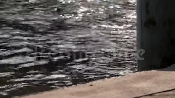 美丽祥和的河景生锈的系泊柱和漂浮的混凝土码头视频的预览图