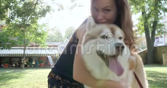 主人在户外用背光抚摸他的宠物年轻的女人抱着哈士奇狗特写视频的预览图