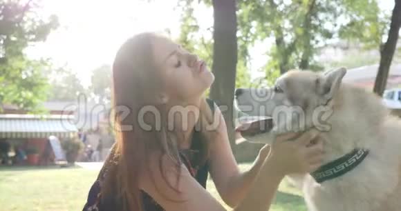 爱的动物年轻女子拥抱猎犬特写在公园背光视频的预览图