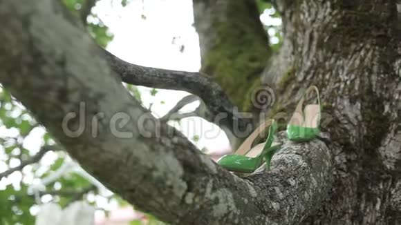 新娘婚礼漂亮的鞋子绿色的鞋子在树上的鞋子豪华的高跟特写镜头视频的预览图