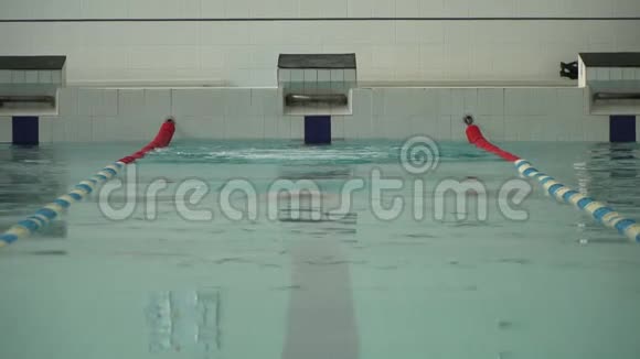 运动员游泳在游泳池慢动作前景视频的预览图