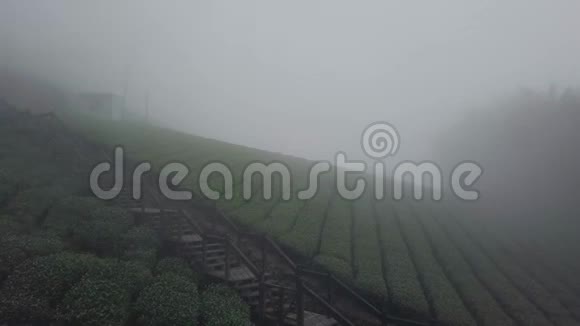 台湾阿里山山区乌龙茶种植雾霭中的空中景色视频的预览图