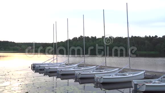 日出时帆船并排停泊在宁静的夏湖上视频的预览图